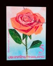 A stamp printed in Thailand shows an image of beautiful orange rose flower.